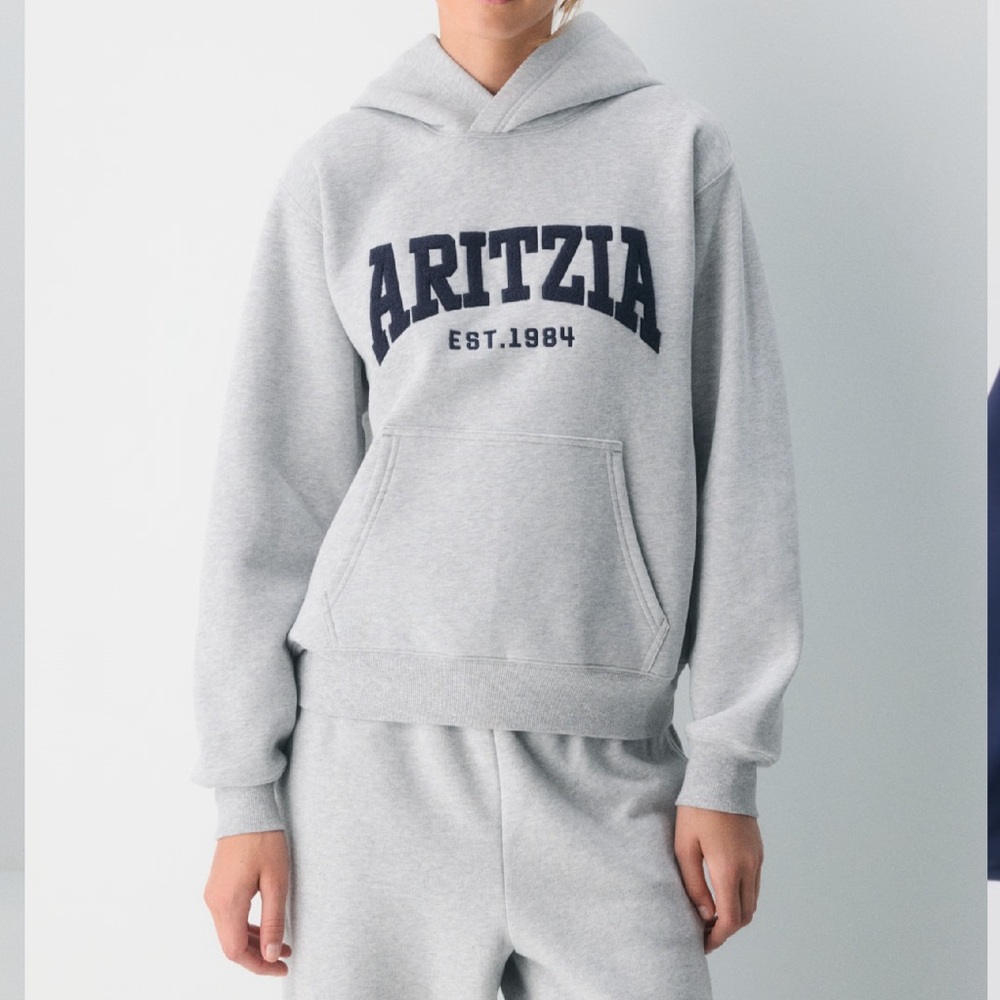 Aritzia Heather Gray Logo Hoodie